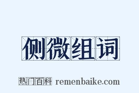 侧微组词是什么意思的图片